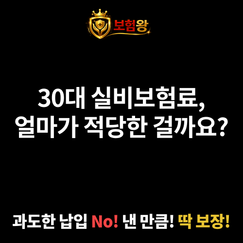 30대 실비보험료