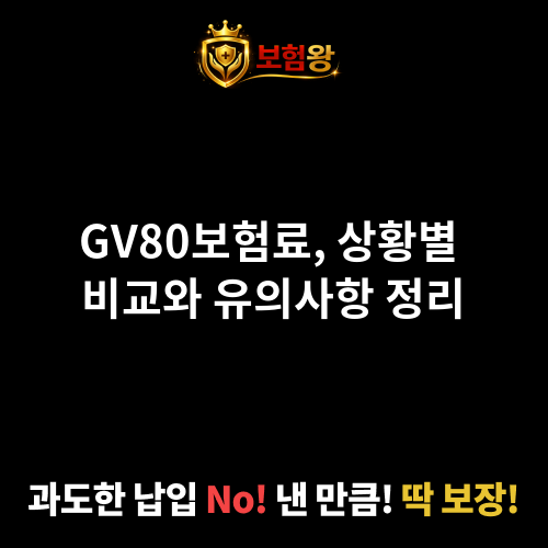 GV80보험료