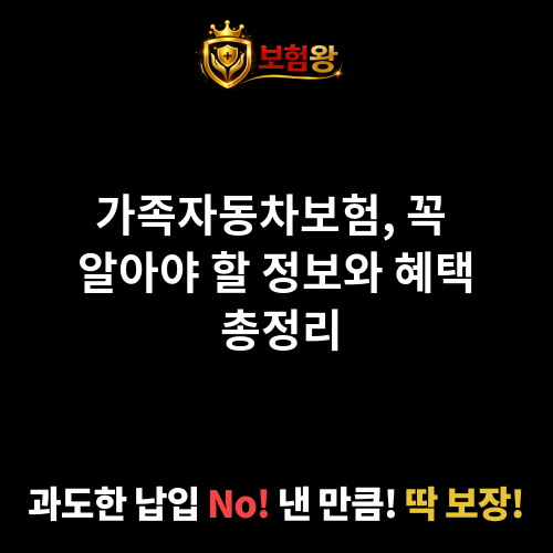 가족자동차보험