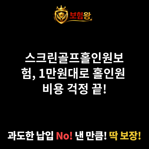 스크린골프홀인원보험