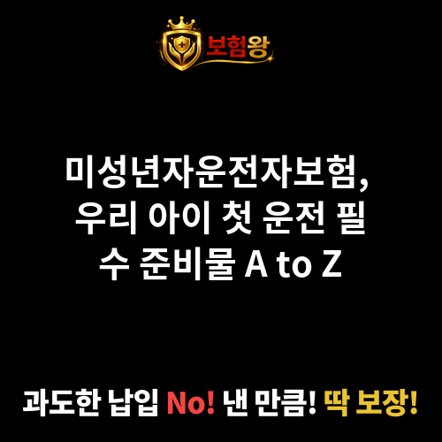 미성년자운전자보험