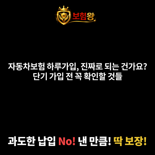 자동차보험하루가입