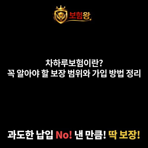 차하루보험이란