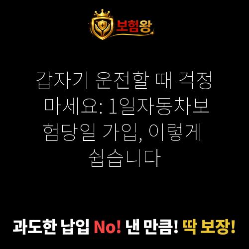 1일자동차보험당일