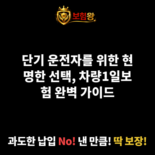차량1일보험