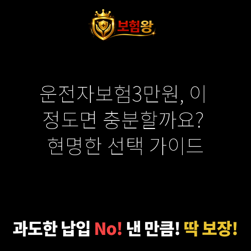 운전자보험3만원