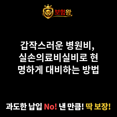 실손의료비실비