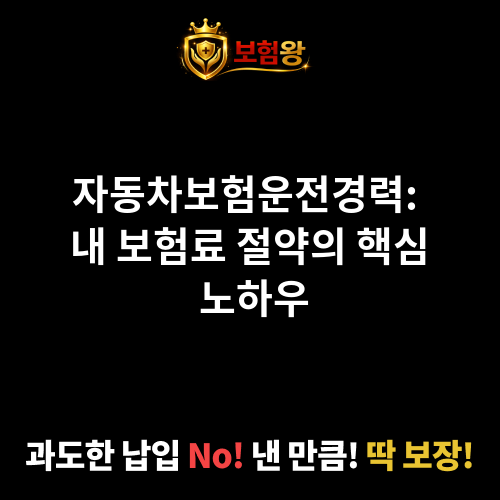자동차보험운전경력