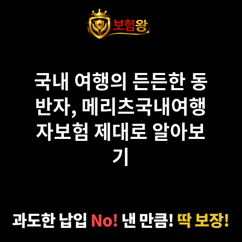 메리츠국내여행자보험
