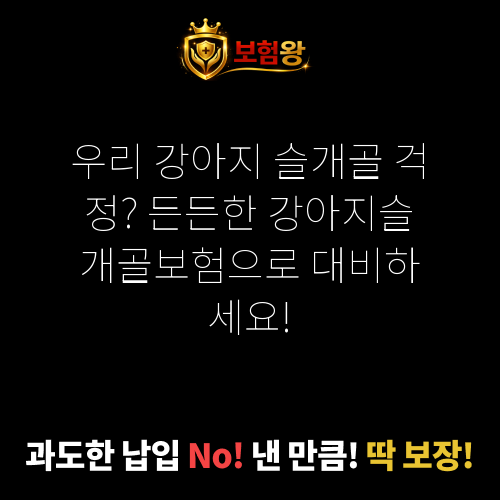 강아지슬개골보험