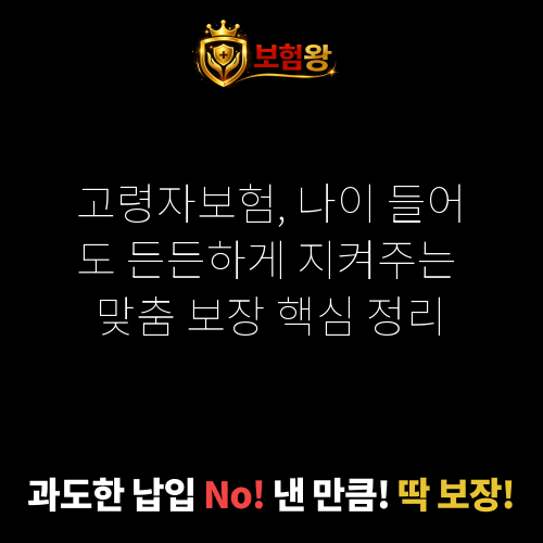 고령자보험