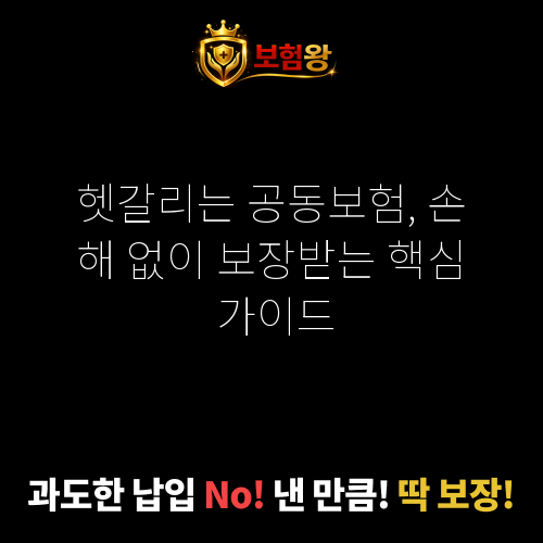 공동보험