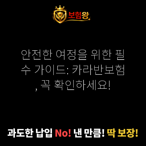 카라반보험