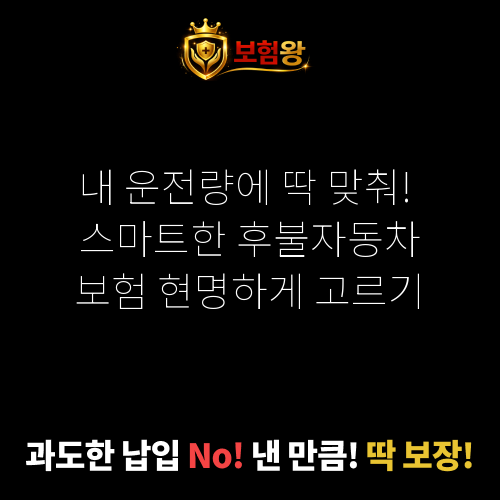 후불자동차보험