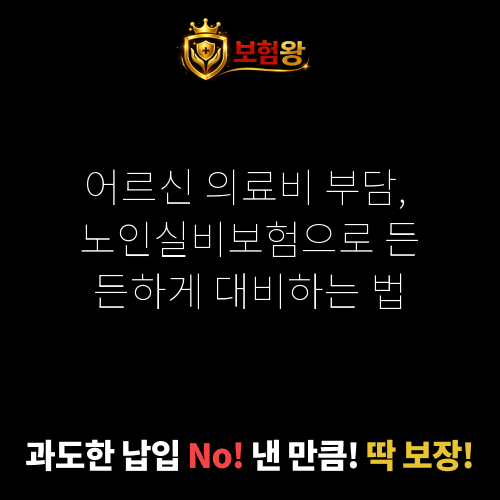 노인실비보험