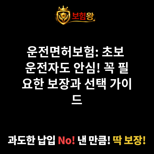 운전면허보험
