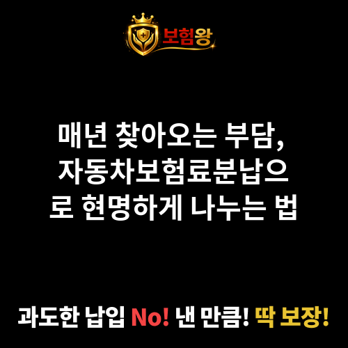 자동차보험료분납
