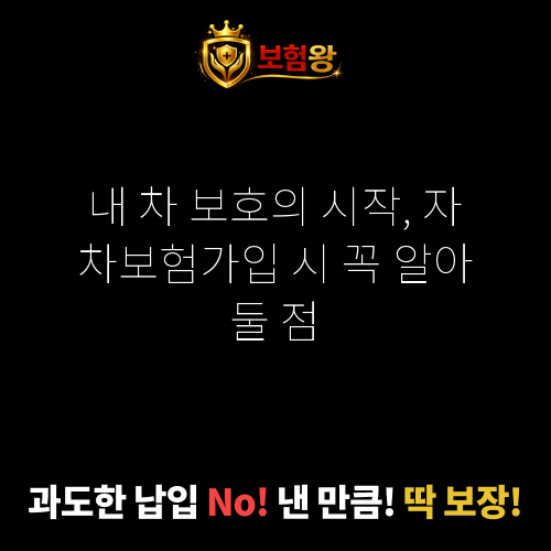 자차보험가입