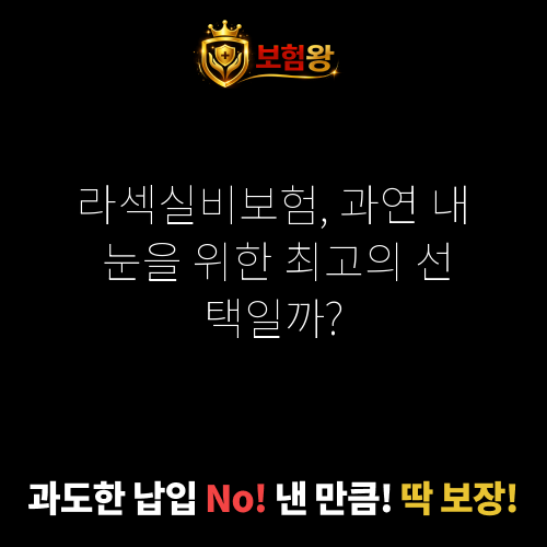라섹실비보험