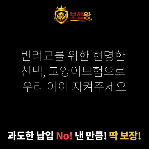 고양이보험
