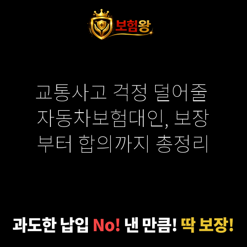 자동차보험대인
