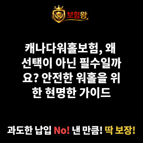 캐나다워홀보험