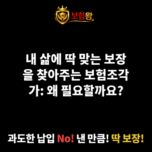 보험조각가