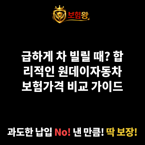 원데이자동차보험가격