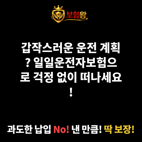 일일운전자보험