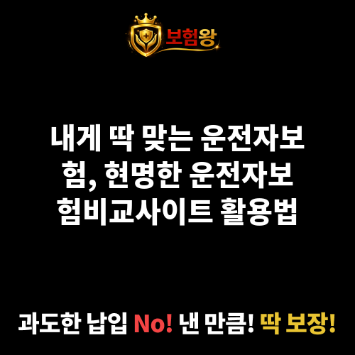 운전자보험비교사이트