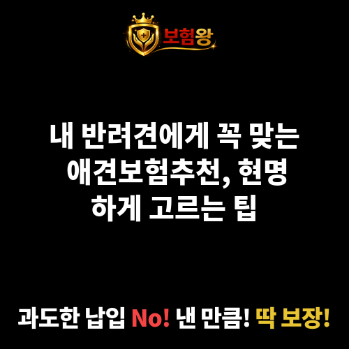 애견보험추천