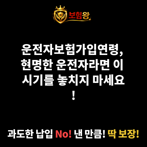 운전자보험가입연령