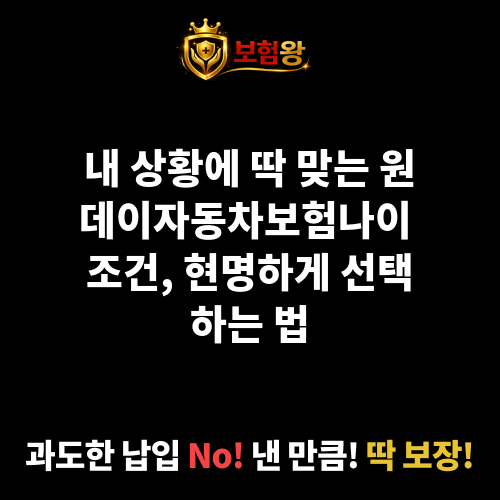 원데이자동차보험나이