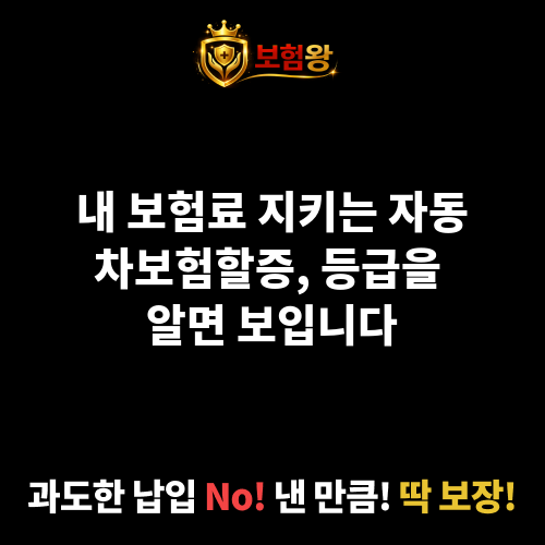 자동차보험할증