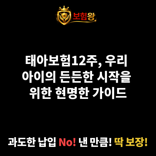 태아보험12주