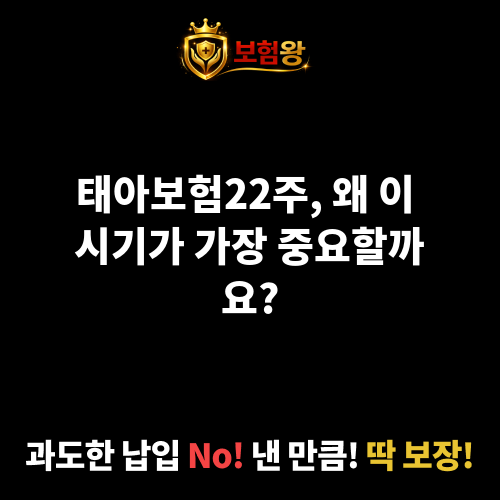 태아보험22주