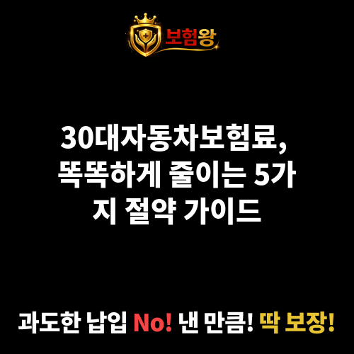 30대자동차보험료