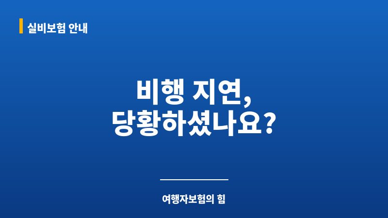 항공기지연보상 보조 이미지