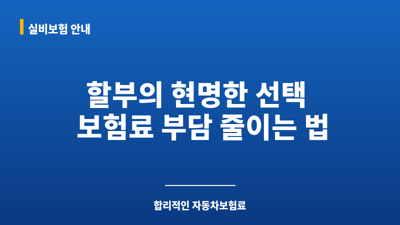 자동차보험료할부 보조 이미지