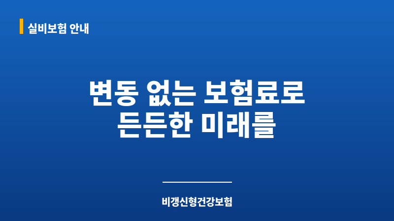 비갱신형건강보험 보조 이미지