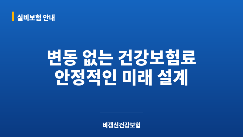 비갱신건강보험 보조 이미지