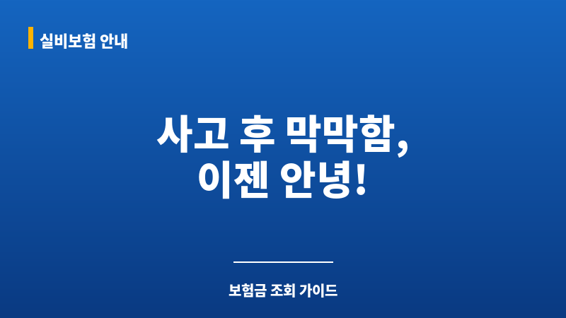 자동차보험금조회 보조 이미지