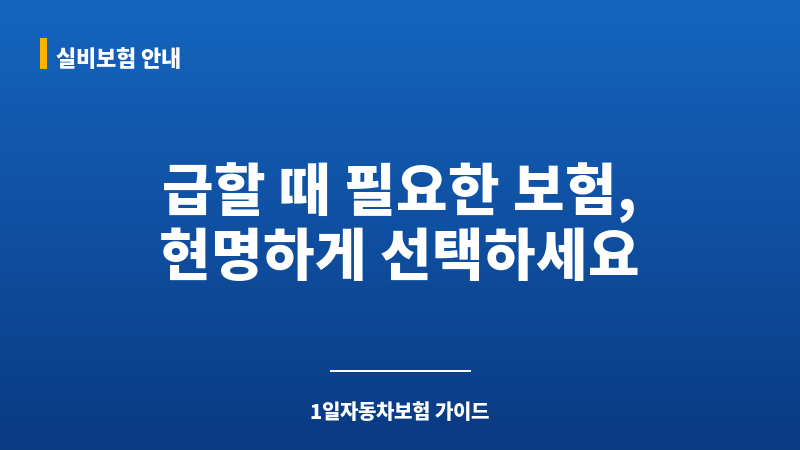 1일자동차보험가격 보조 이미지