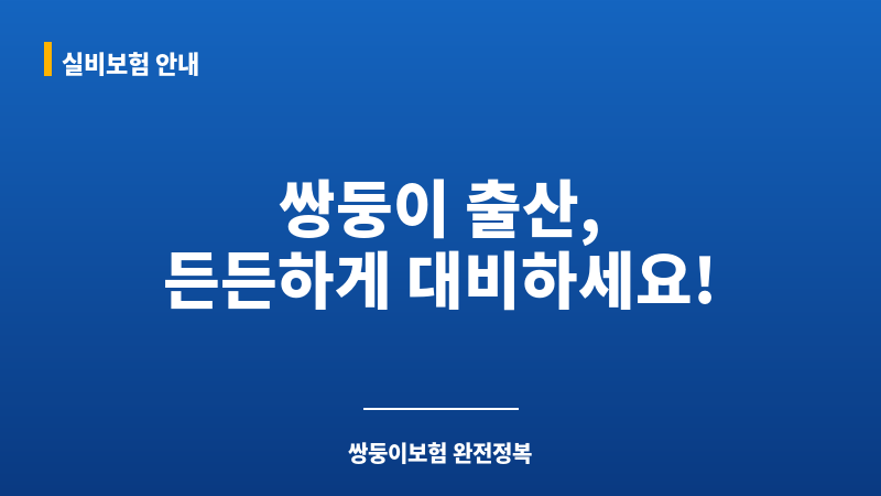 쌍둥이보험 보조 이미지 쌍둥이보험 보조 이미지