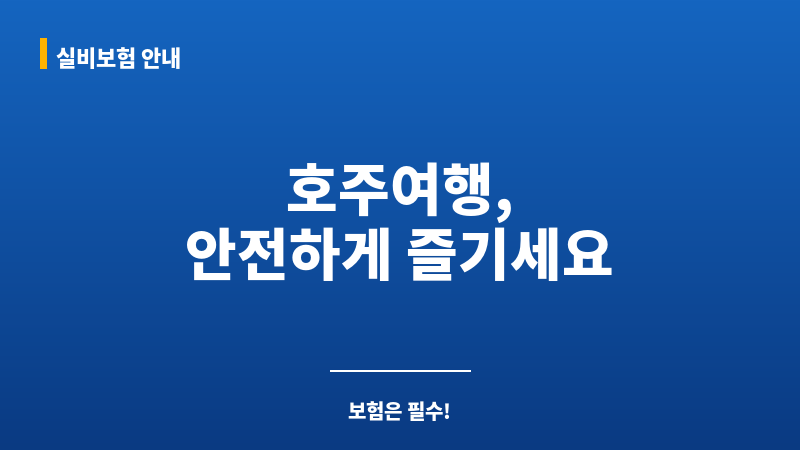 호주여행보험 보조 이미지