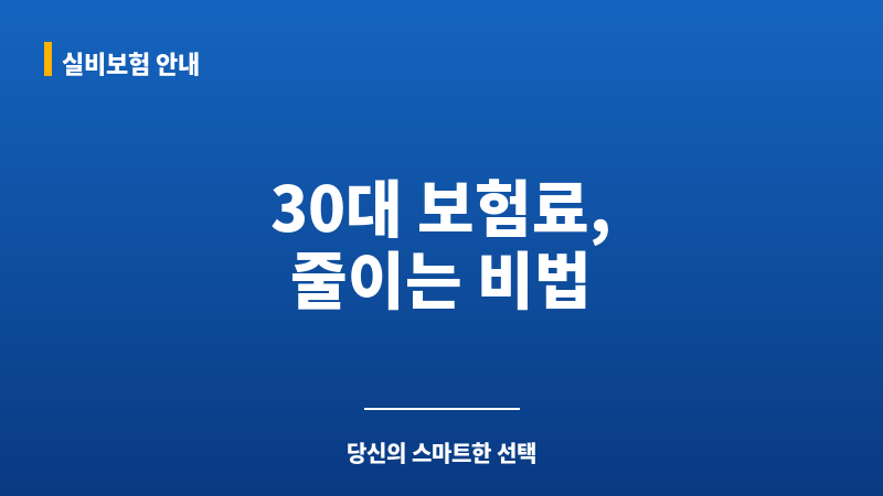 30대자동차보험료 보조 이미지 30대자동차보험료 보조 이미지