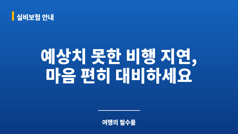 항공기지연보험 보조 이미지
