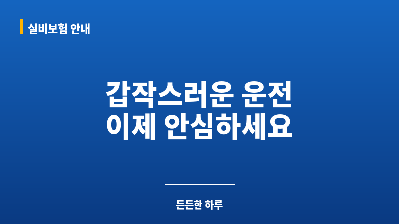1일차보험 보조 이미지 1일차보험 보조 이미지