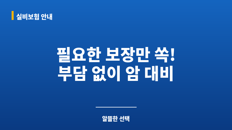 미니암보험 보조 이미지