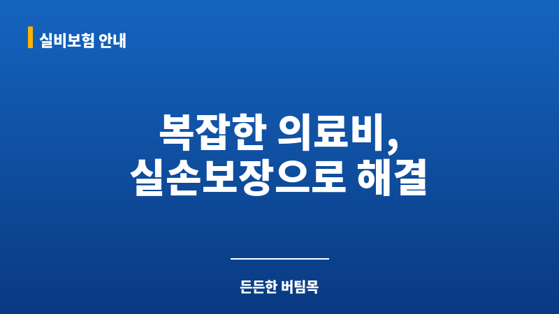 실손보장 보조 이미지